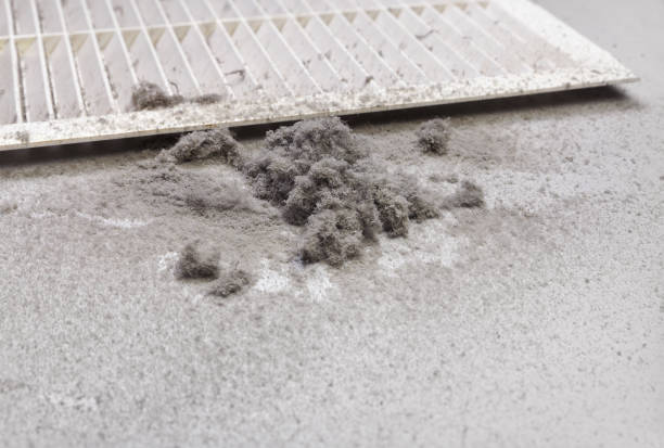 Best Air Duct Cleaning Company Near Me  in Henry, IL